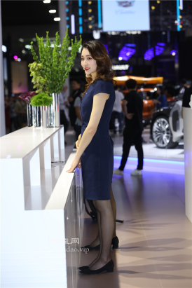 编码1163车展前台黑丝